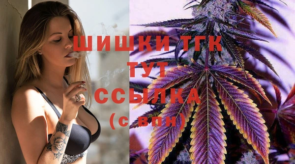 винт Ладушкин