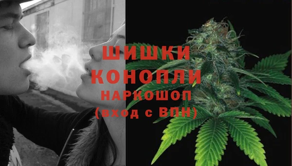винт Ладушкин