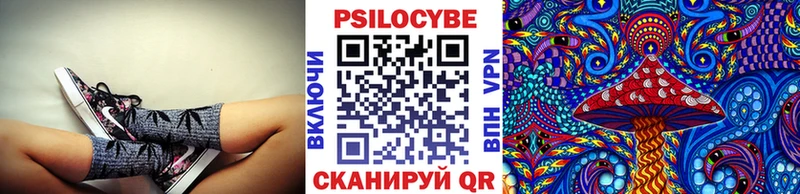 darknet телеграм  Нахабино  Псилоцибиновые грибы Magic Shrooms  купить закладку 